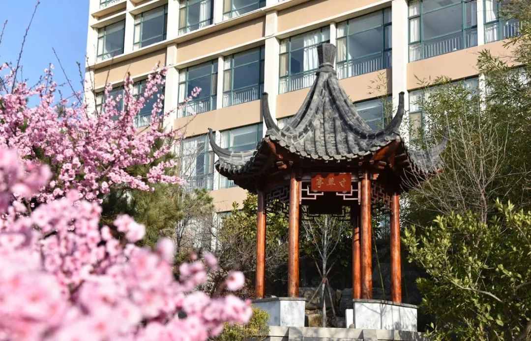 青岛黄海学院2020年本科招生简章,青岛黄海学院2023招生简章章程