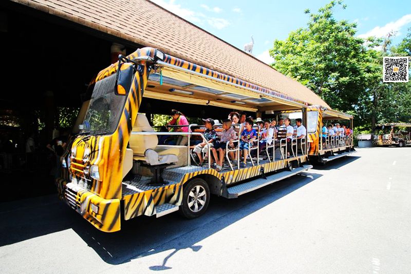 清迈夜间动物园珍稀动物魅力无限,清迈动物园参观