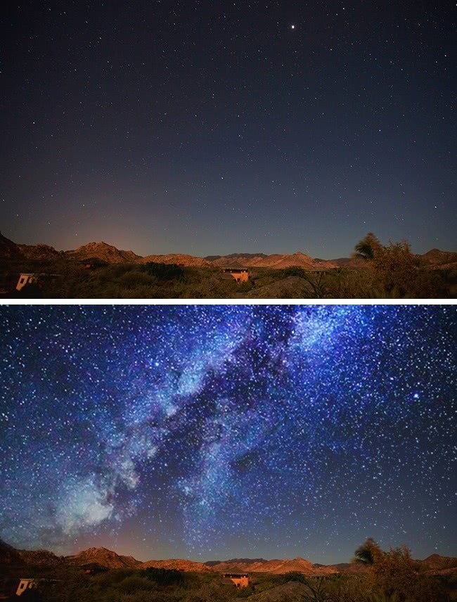 动物世界视力最好的动物,动物界中哪种动物视力最好