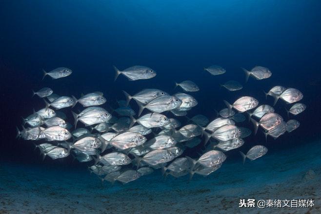 自媒体第一次写文章怎么开头,自媒体文章开头的几个技巧