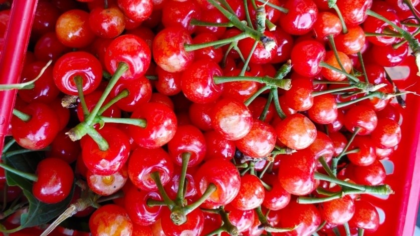 樱桃小萝卜怎么弄可以长久保存,樱桃怎么做才好吃简单方法