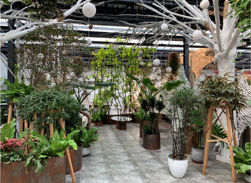 丰台四大花市在哪里,北京丰台值得逛一逛