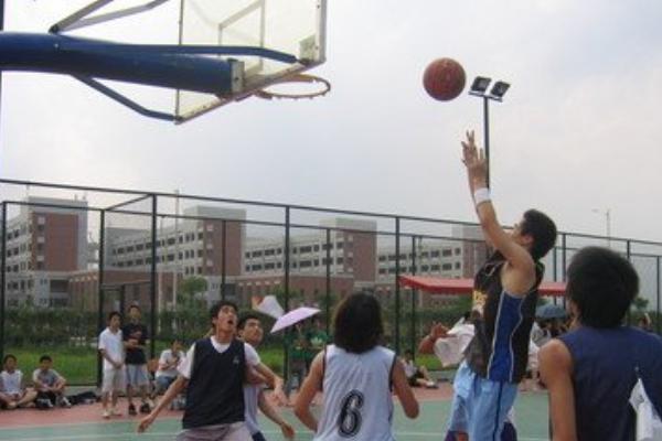 真心喜欢打篮球,真心喜欢打篮球的人