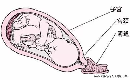产道是顺产时胎儿的必经之路，产道分两部分，孕妈妈可了解一下