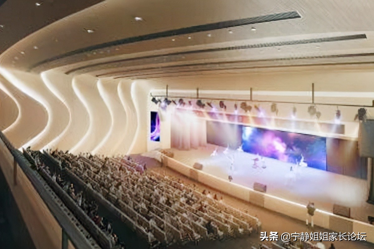 成都英才小学校成华区招生片区,成都成华区英才学校小升初摇号率