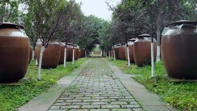 邛崃产区“抱团而来”，5亿打导致都酒业集团！|卖酒狼关注