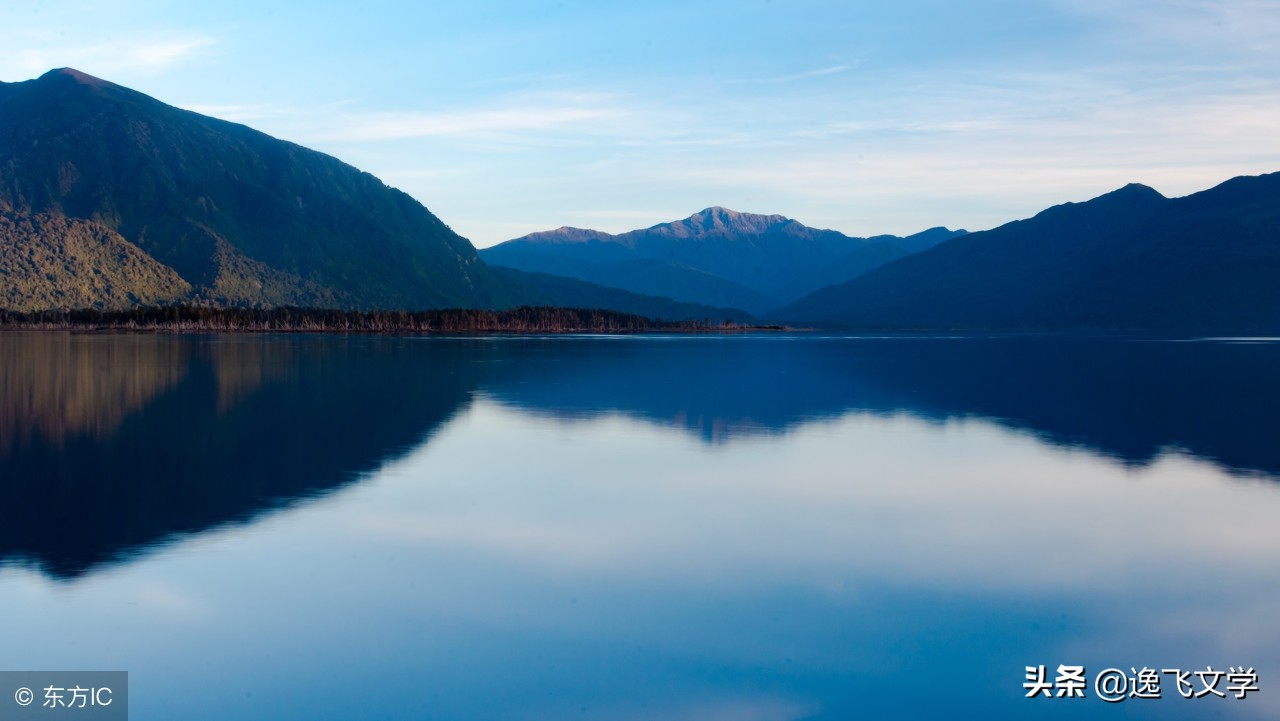 草根的痛、爱、苦与坚强