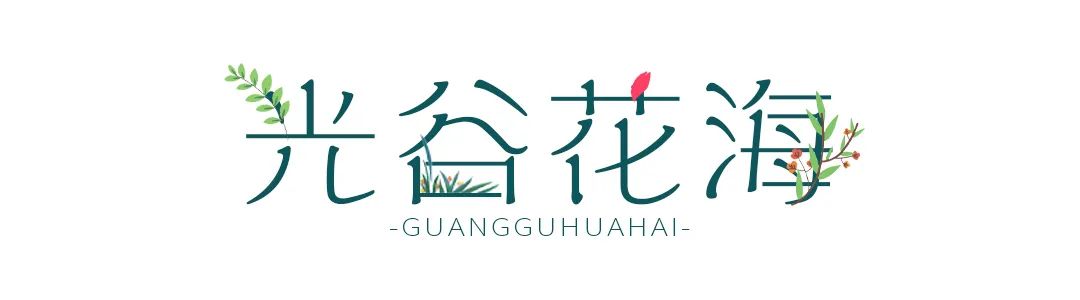 抓住春天的尾巴鸟语花香,抓住花海的尾巴