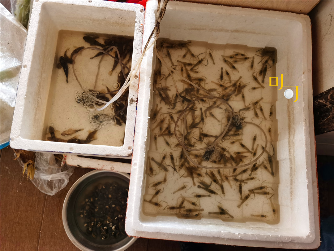 余姚四明山农家乐跟团游有吗,余姚市四明山高山布依农家乐