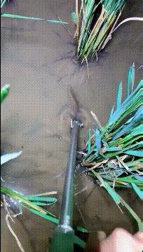 搞笑gif趣图小伙子估计你要单身了,gif爆笑趣图大爷永远是大爷