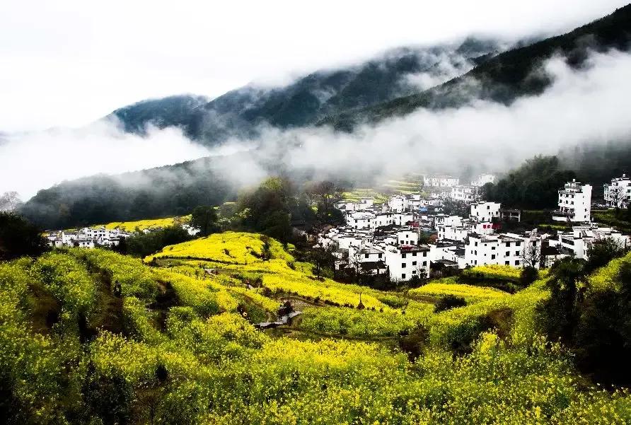 人生要懂得调整才能左右逢源,人生要懂得左右逢源