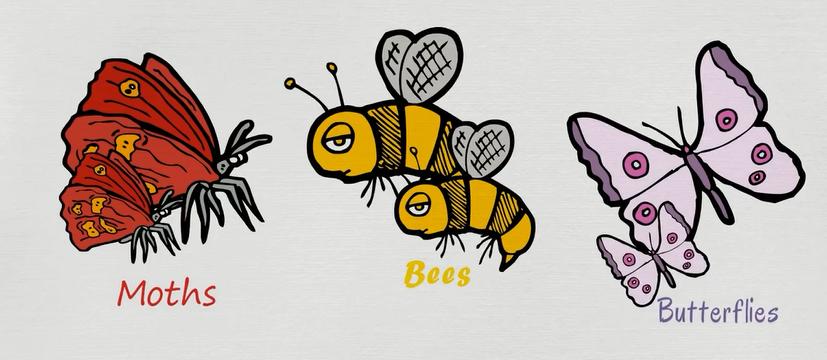 描述动物特征的英文词汇,动物英文词汇1000词