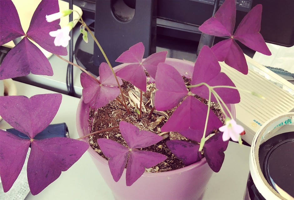 网络赚外快兼职,哪些兼职或自由职业可以月入过万