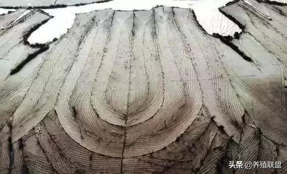 几千和几百的皮衣,一千块可以买什么档次的皮草