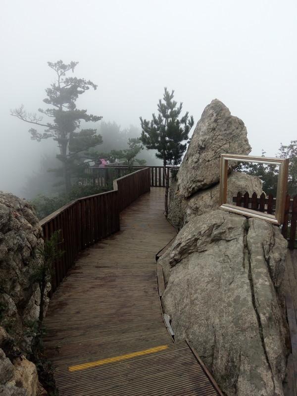 河南旅游景点免门票有哪些,河南有哪些免门票旅游景点值得去