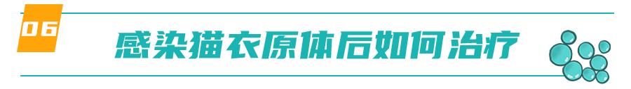 怀孕的母猫得猫瘟没流产,怀孕母猫得了猫鼻支会流产么