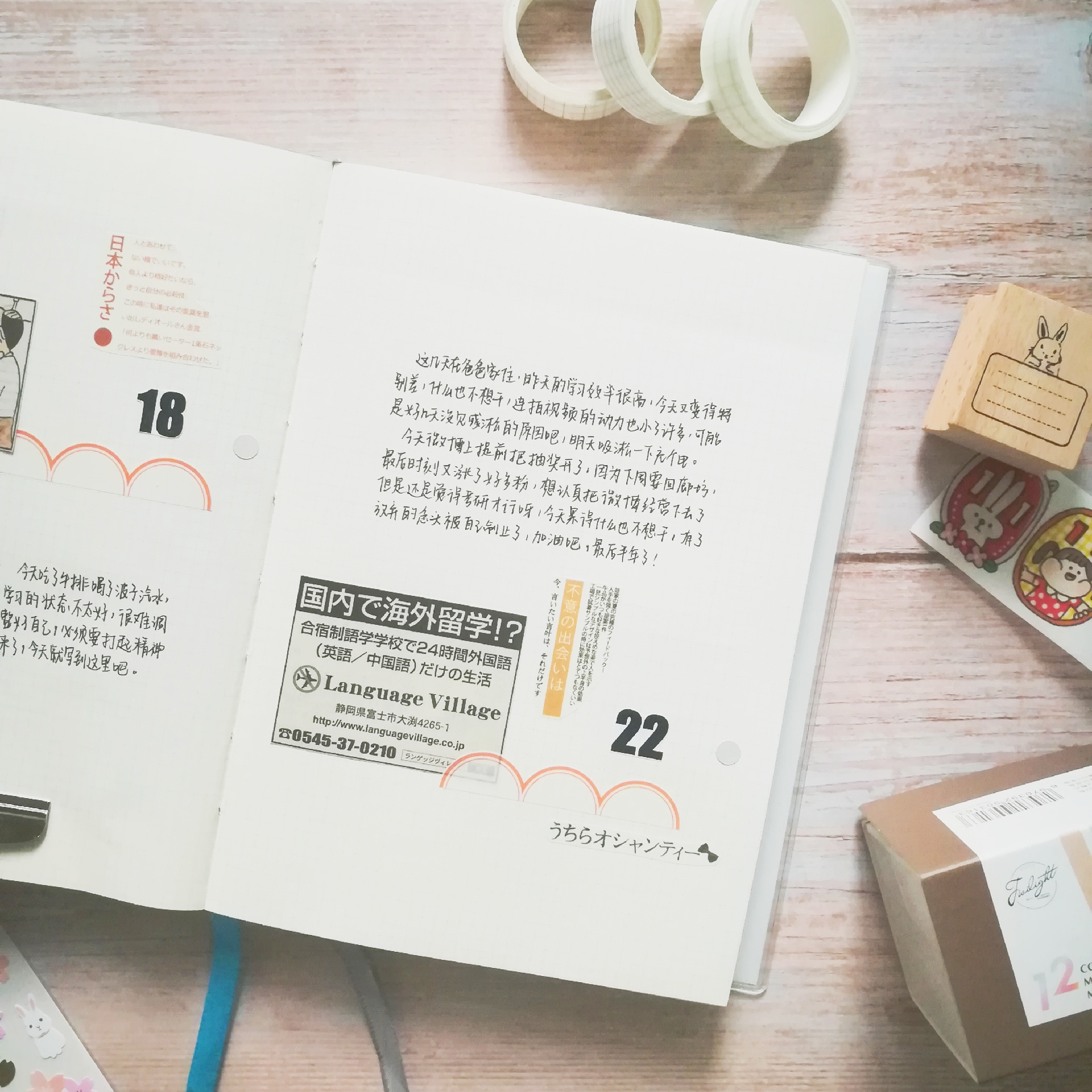 手帐排版设计简单好看,清新手帐排版植物篇