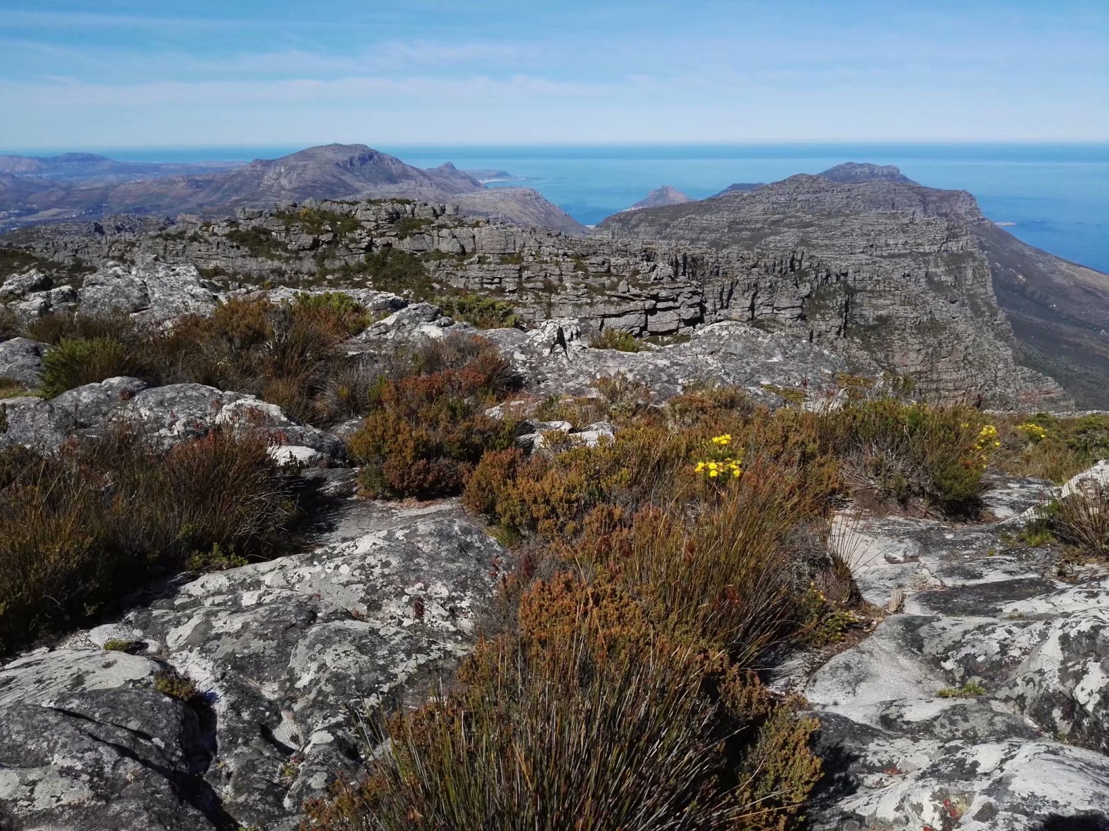 南非开普敦山吃饭,开普敦桌山上帝遗落在人间的餐桌
