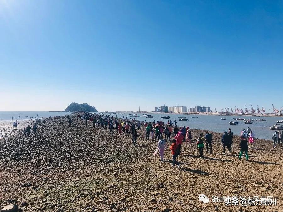 锦州笔架山风景区晚上,锦州笔架山风景区四月中旬
