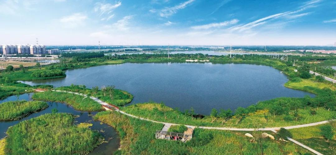 中国的植物多样性保护,全国林草生物多样性保护成就展