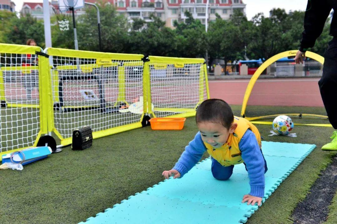 派迪茵体育有限公司,派迪茵体育直播