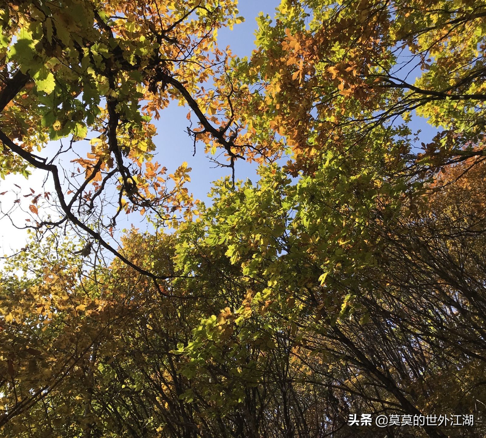 北京市怀柔区喇叭沟原始森林公园,北京怀柔喇叭沟景区