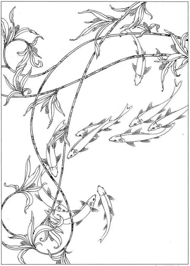 简单易画的工笔画线稿,各种鱼类工笔画图片