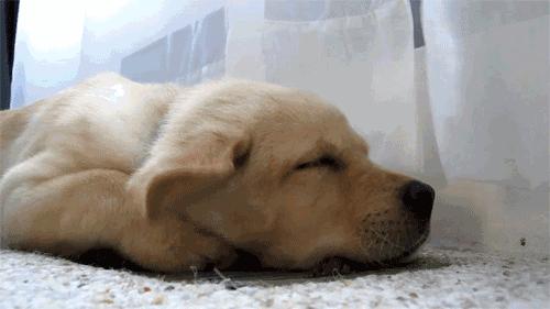 十一长假看看摄影师拍的照片,十一长假看摄影师拍的照片