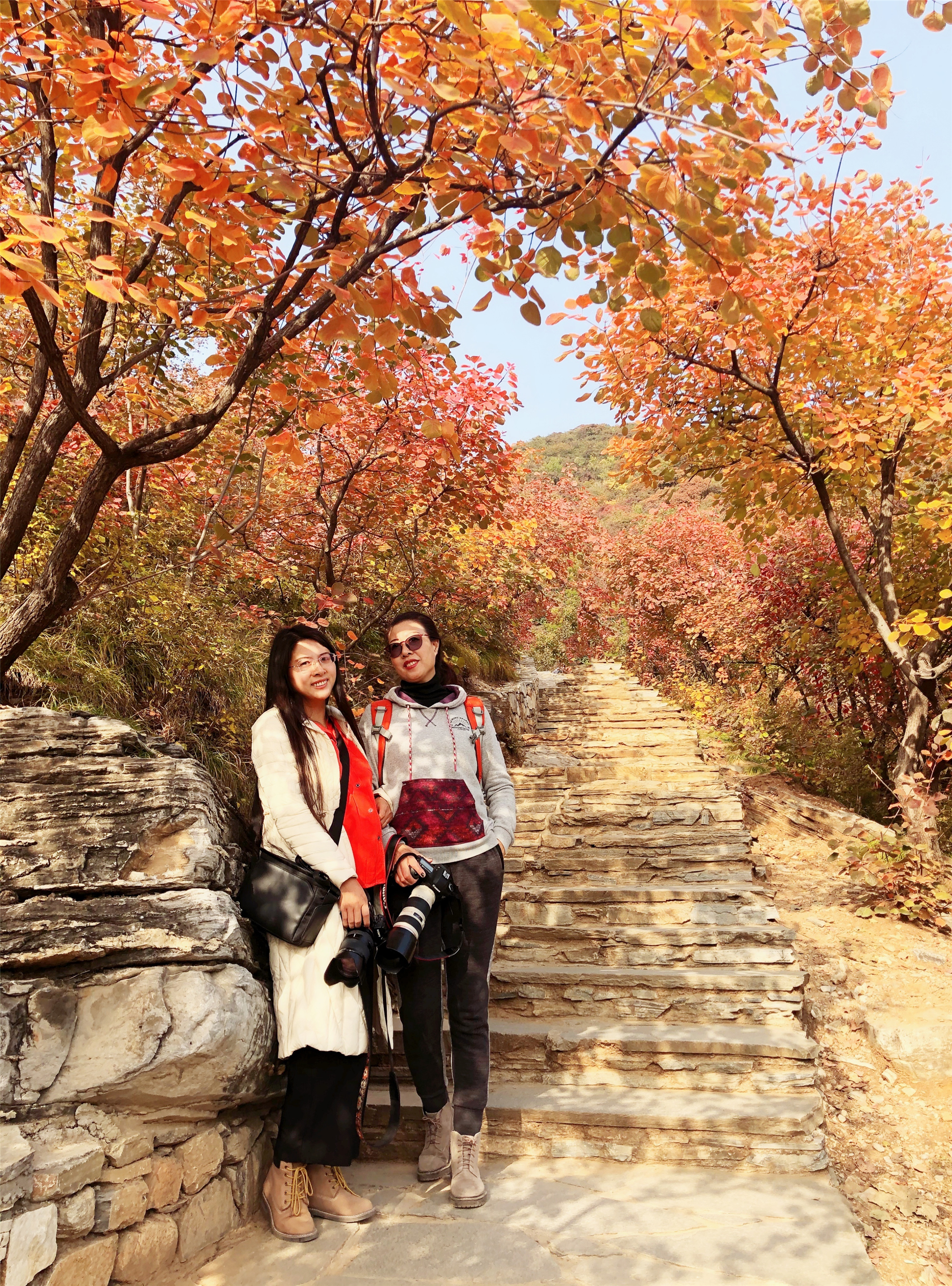 赏红叶最佳目的地,房山坡峰岭红叶最佳观赏