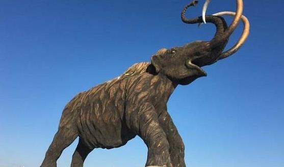 猛犸象灭绝了多少年,史前动物猛犸象是怎样灭亡的