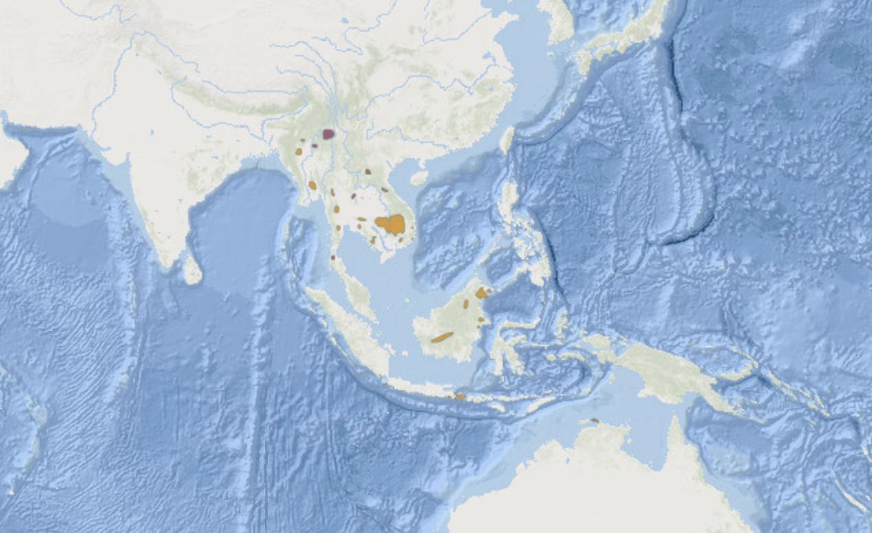 宸ㄥ瀷鐖搰閲庣墰,鏁戞彺鐖搰閲庣墰