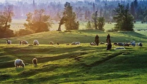 必看纪录片推荐建议收藏,推荐10部必看纪录片