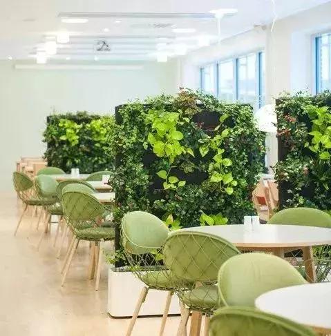 植物屏风隔断效果图,小型屏风