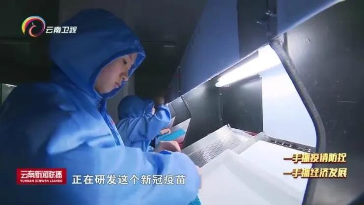 新冠疫苗积极回应国家号召,新冠肺炎疫苗研究取得良好进展