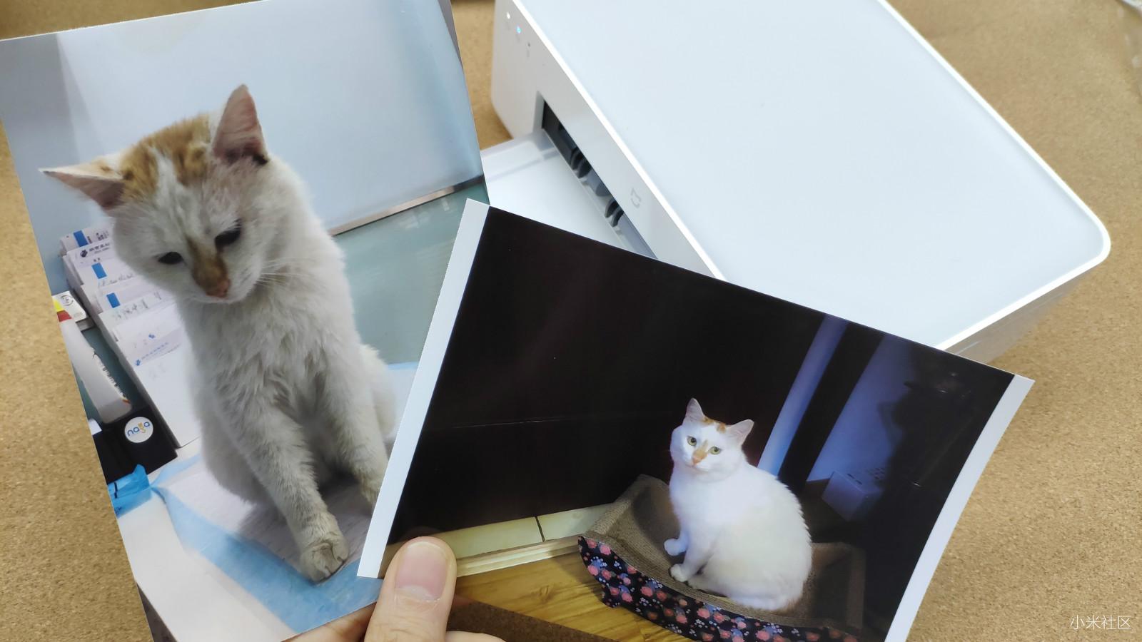 米家喷墨打印机499加墨水,小米米家喷墨打印机用什么相纸