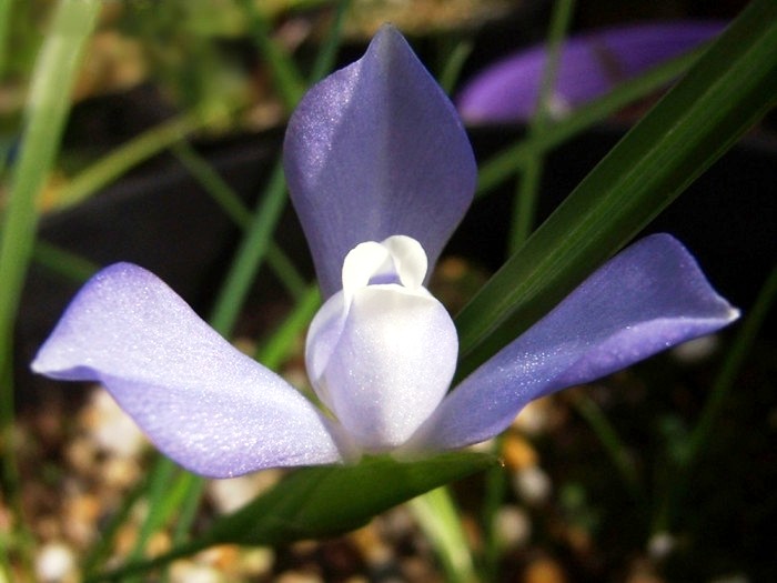 打动人心的走心句子语录,抚慰人心的句子句句透彻值得分享