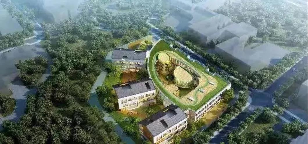 尖叫！苏州碾压一线城市，迎来高光时刻