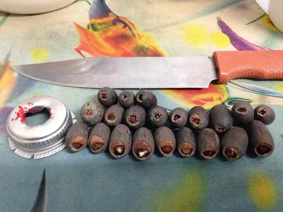 夏季这样养碗莲,碗莲怎么养才能开五颜六色的花