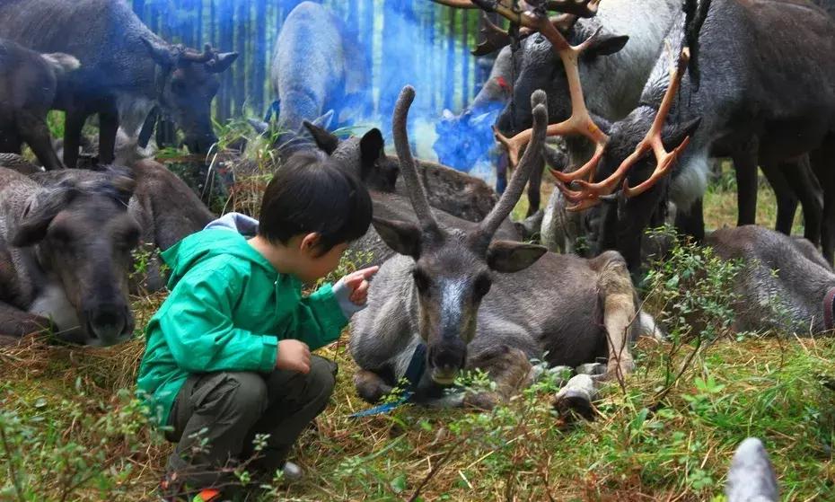 呼伦贝尔亲子游第二季,呼伦贝尔暑期亲子游