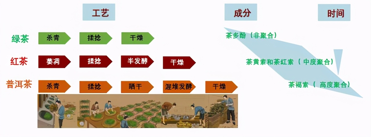 预防三高的中药粉,预防胆固醇和甘油三酯过高药物