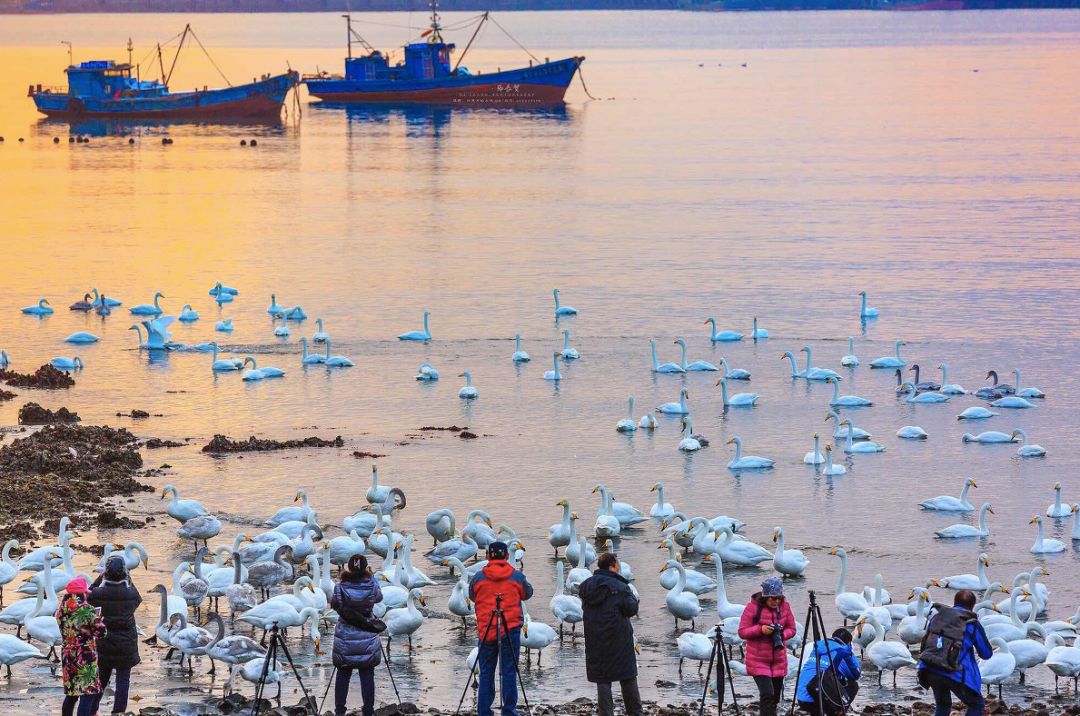 唯一上榜2018最具幸福感的县级市的北方小城，光海鲜就能吃到爽！