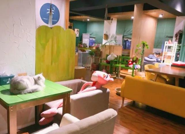 成都仅此一家的网红甜品店有哪些,成都冷门甜品店真实测评