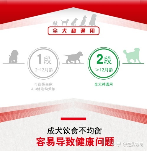 狗粮专家国产狗粮推荐,国产狗粮什么牌子好还便宜又好吃