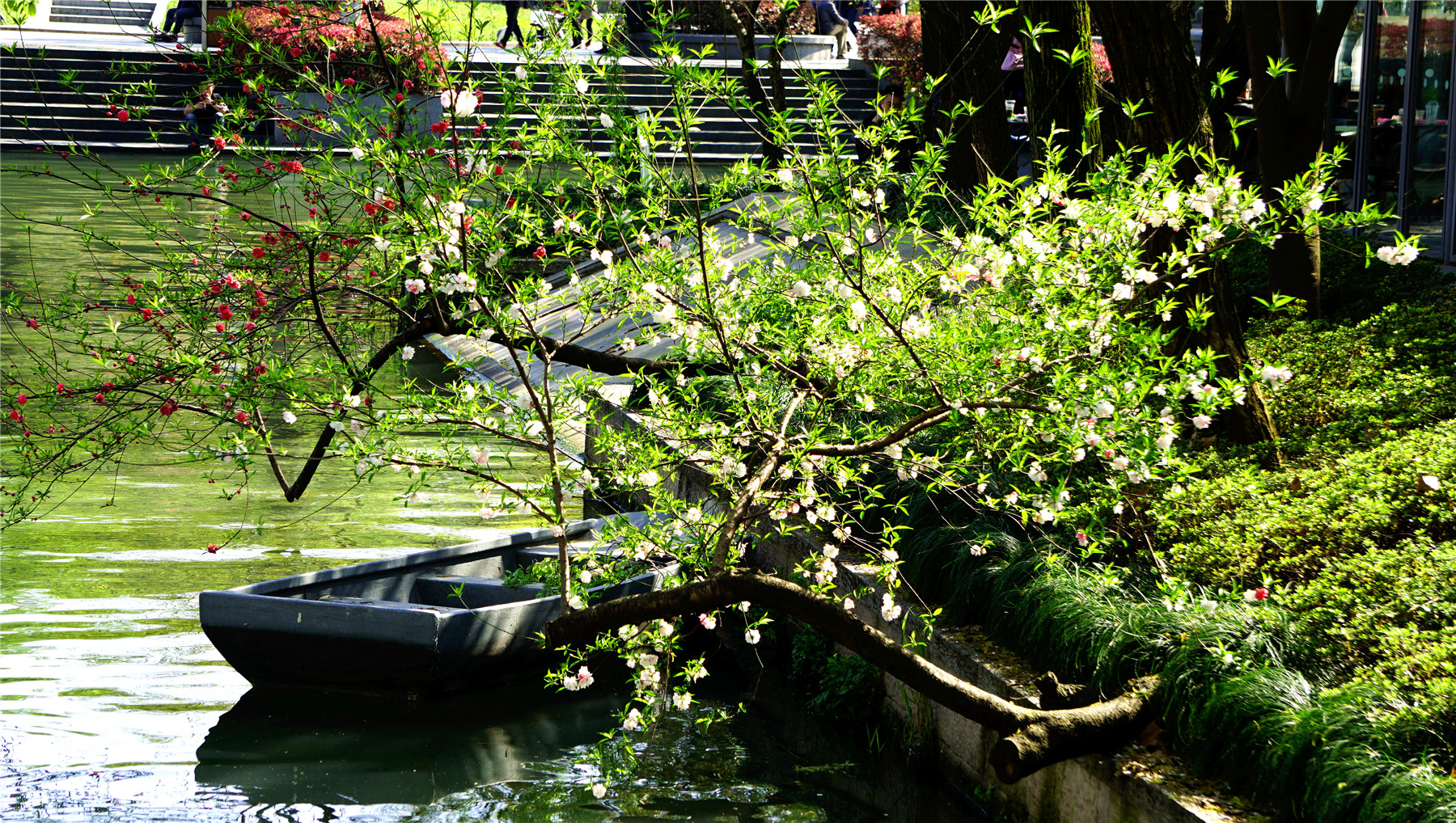 杭州西湖游玩攻略大全,杭州西湖最佳游玩攻略