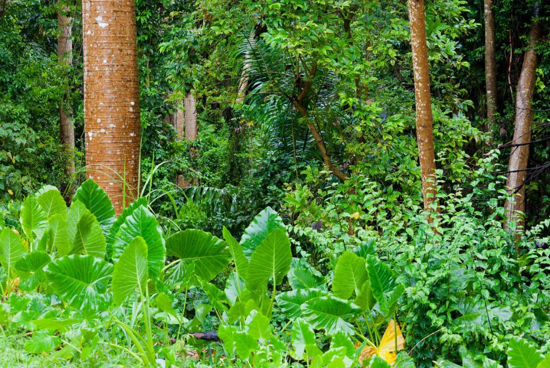 英读廊——湿度是什么意思？100%就是空气变成水了吗？