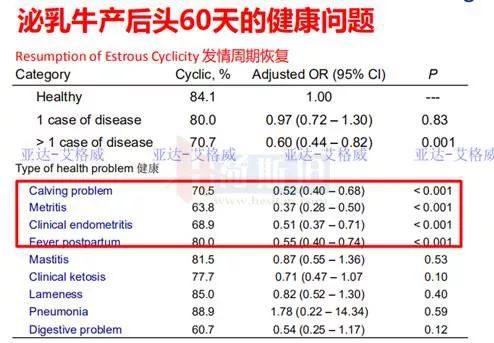 多多牧场高产奶牛的寿命,奶牛生产前有哪些症状