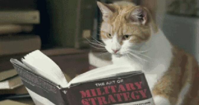 考导游证必备知识点书籍,考导游证要学习哪些内容