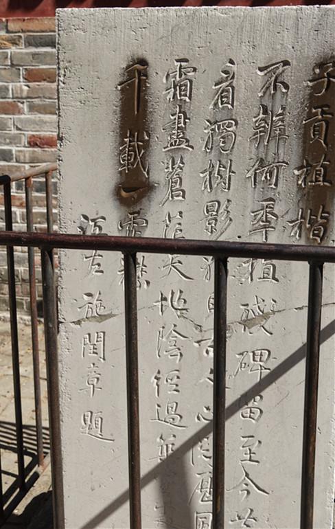 孔林是最大的氏族墓地吗,孔林最大墓葬群