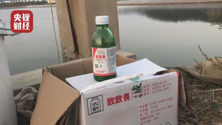 海水缸养海参,鱼缸养海参正确方法