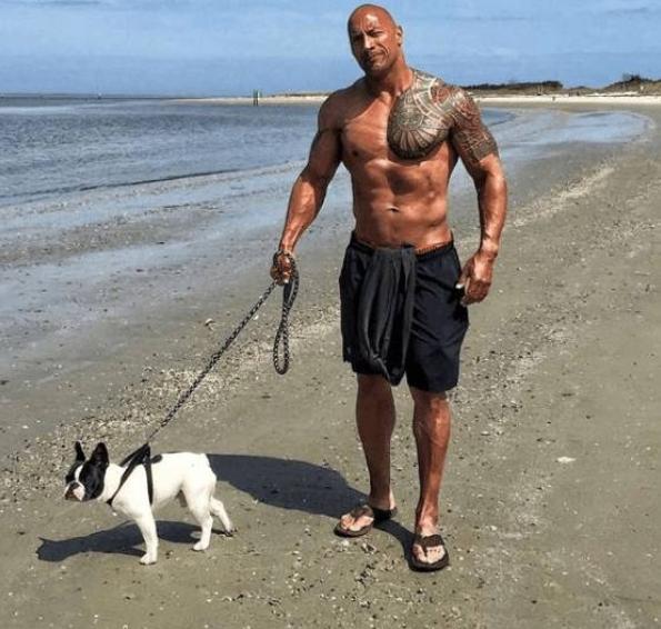 巨石强森身上有多少个纹身,巨石强森纹身是什么级别